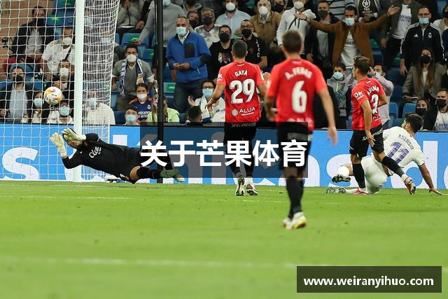 关于芒果体育